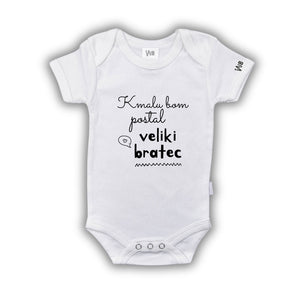 Bodi Veliki bratec B